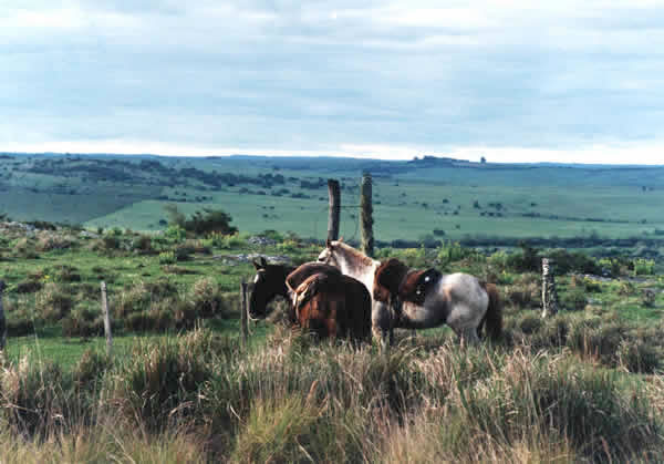 Foto ampliada de Sierras de Rocha