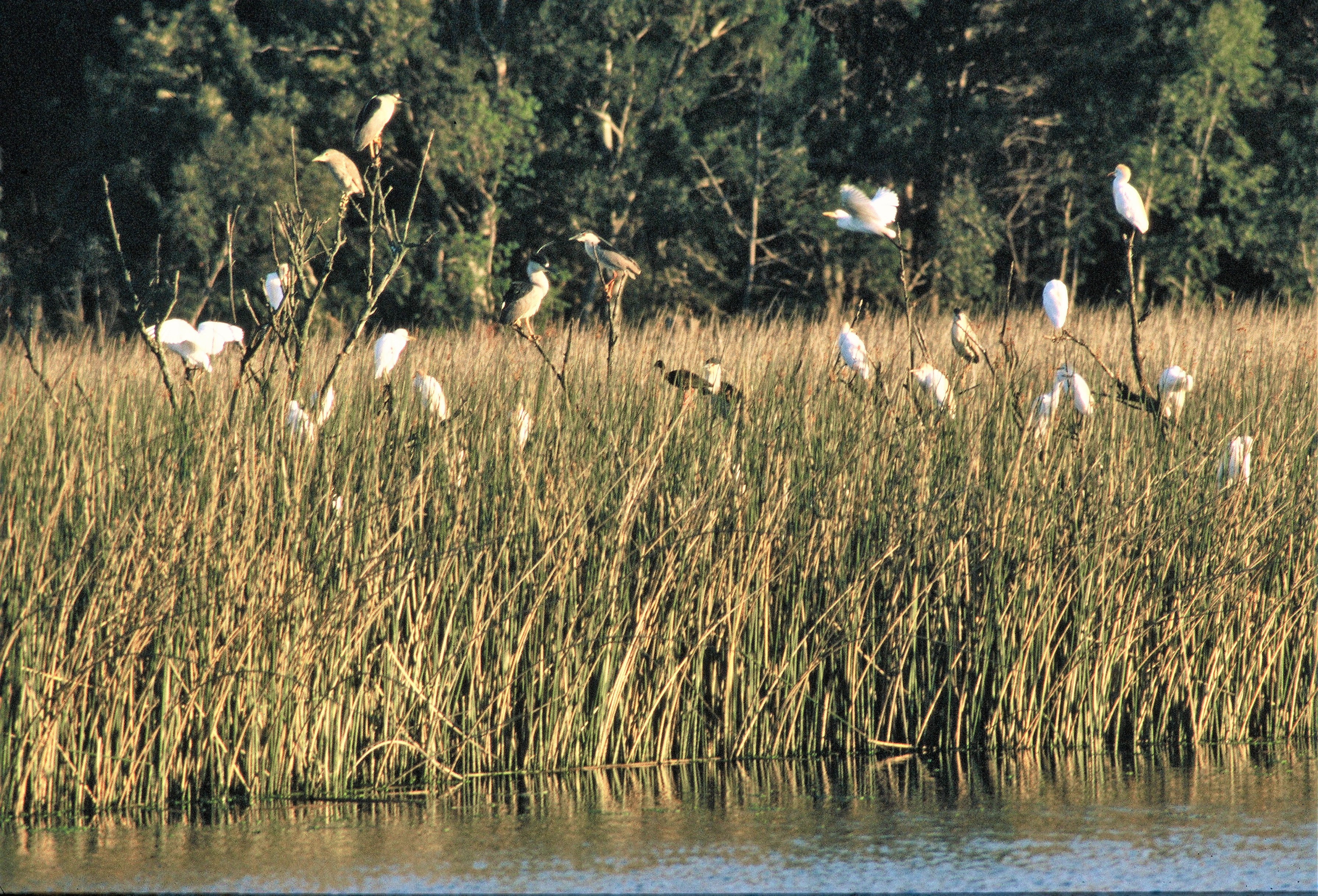 Foto ampliada número  de turismo naturaleza