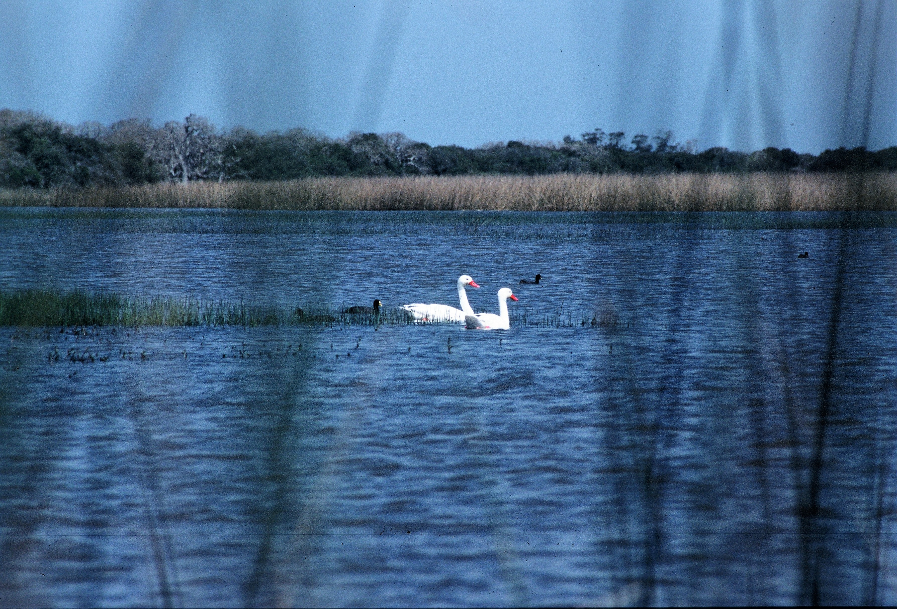 Foto ampliada número  de turismo naturaleza