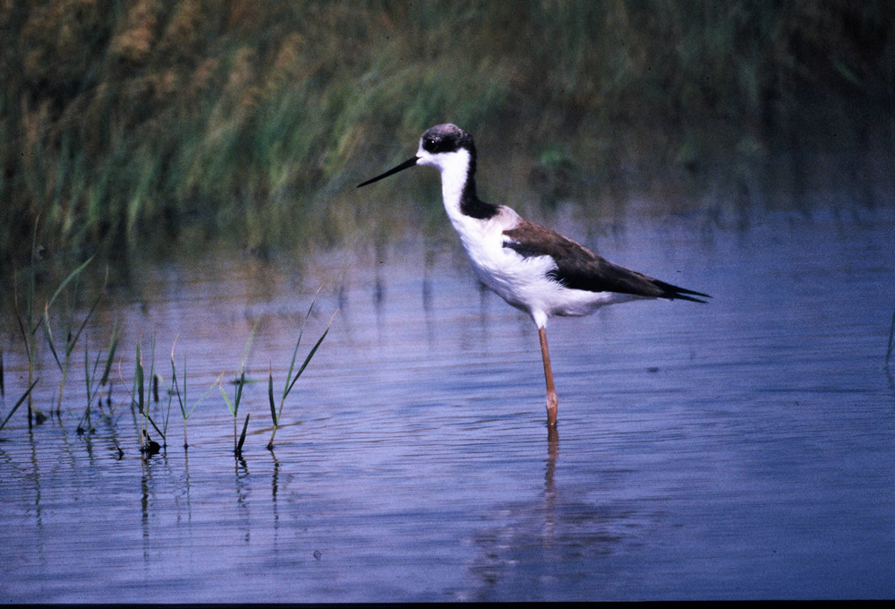 Foto ampliada número  de turismo naturaleza