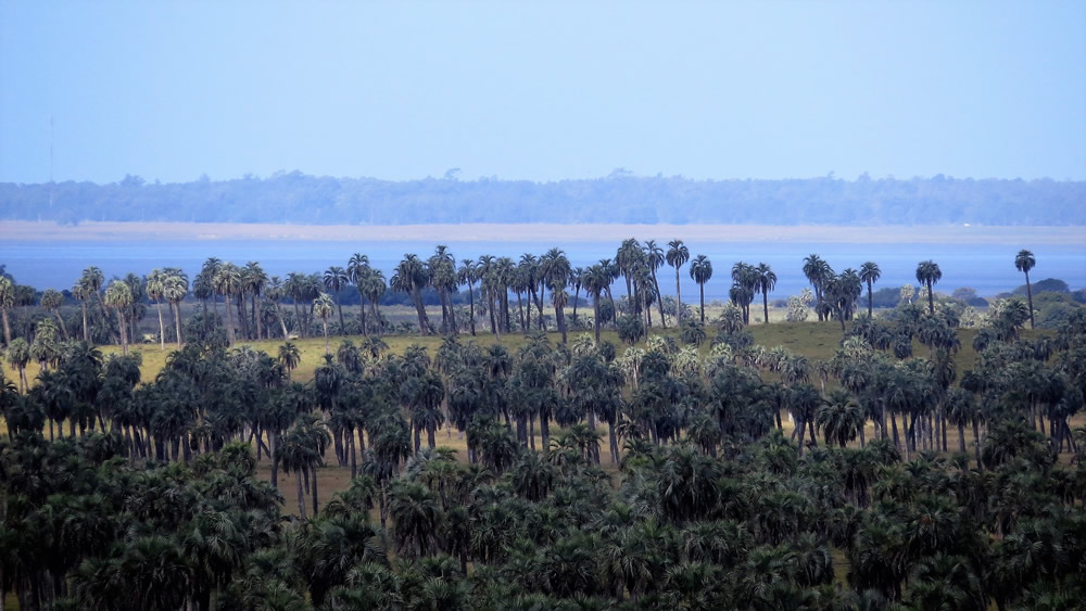 Foto ampliada número  de turismo naturaleza