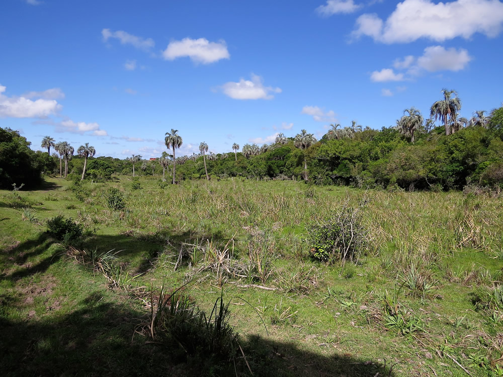 Foto ampliada número  de turismo naturaleza