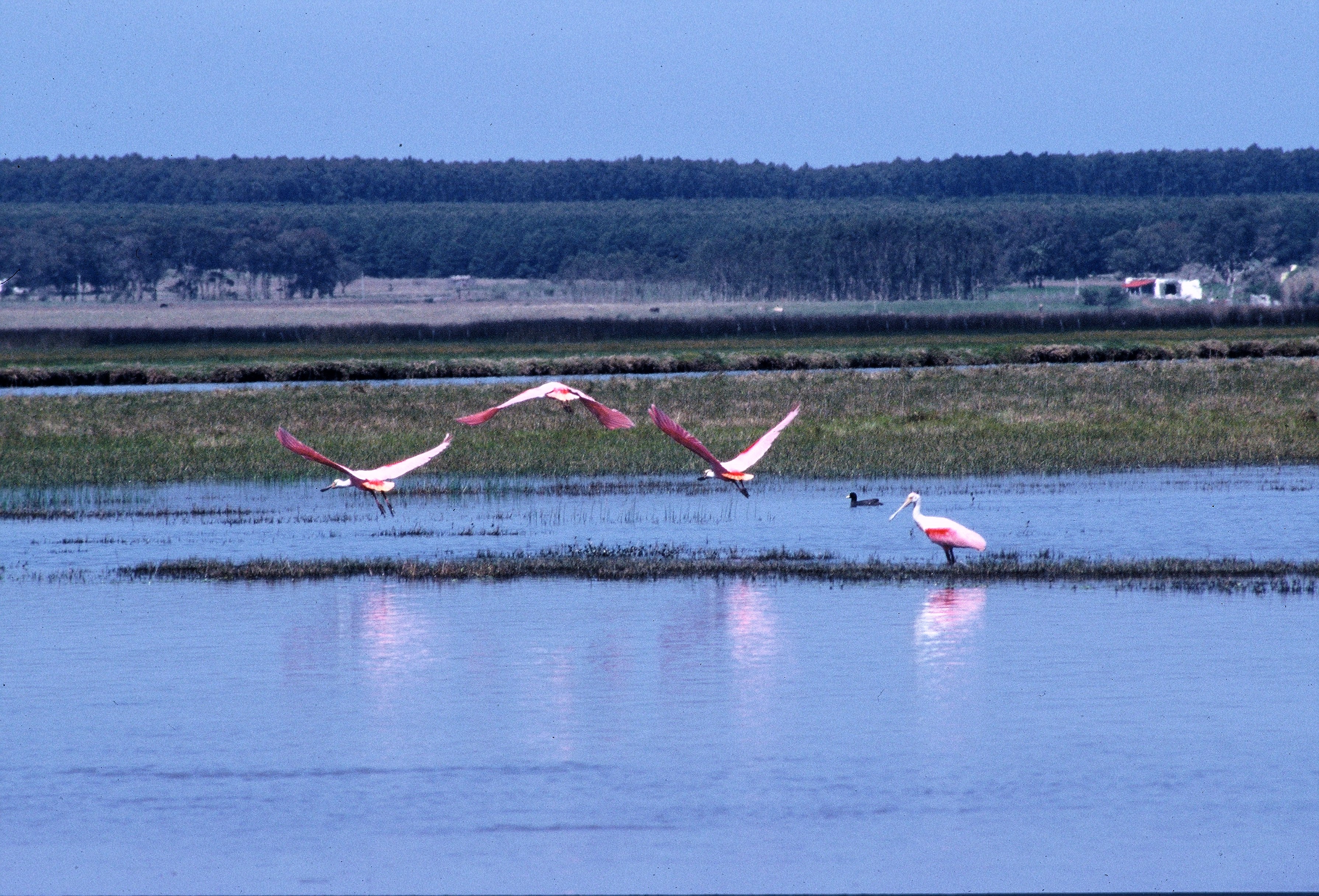 Foto ampliada número  de turismo naturaleza